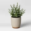 Textured Ceramic Planter Pots White - Opalhouse™ -Opalhouse GUEST 81b3ab19 db4f 409c 9397 ff90f528d623